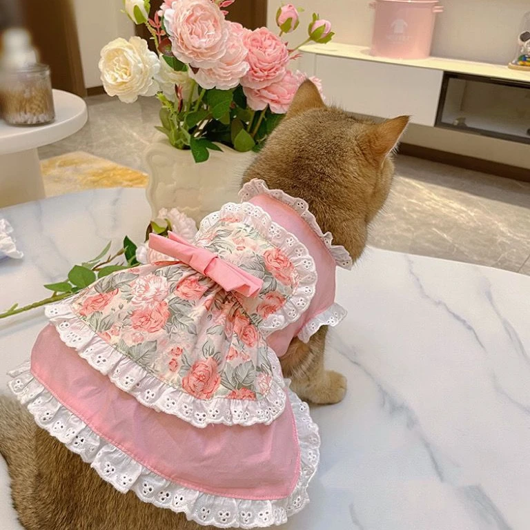 Pet Cute Apron Dress Lace Flor - Lace Teddy Lingerie 评论和价格